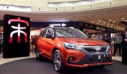 比亚迪最新内部爆料事件,揭秘新能源汽车巨头背后的真相