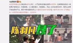 老刘爆料刘伟恒视频,老刘爆料背后的惊人真相
